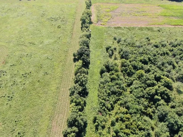 $2,665,000 | 725 South S Road, Stockton, MO 65785