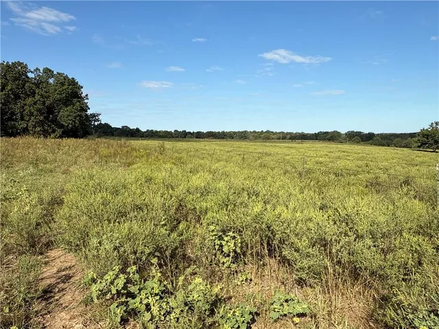 $2,665,000 | 725 South S Road, Stockton, MO 65785