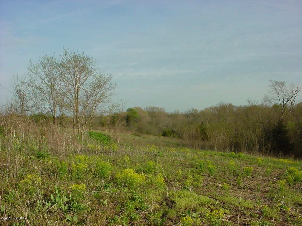 8191 Maddox Ridge Road Turners Station, KY 40075 - Photo 2 of 6 MVC-020F