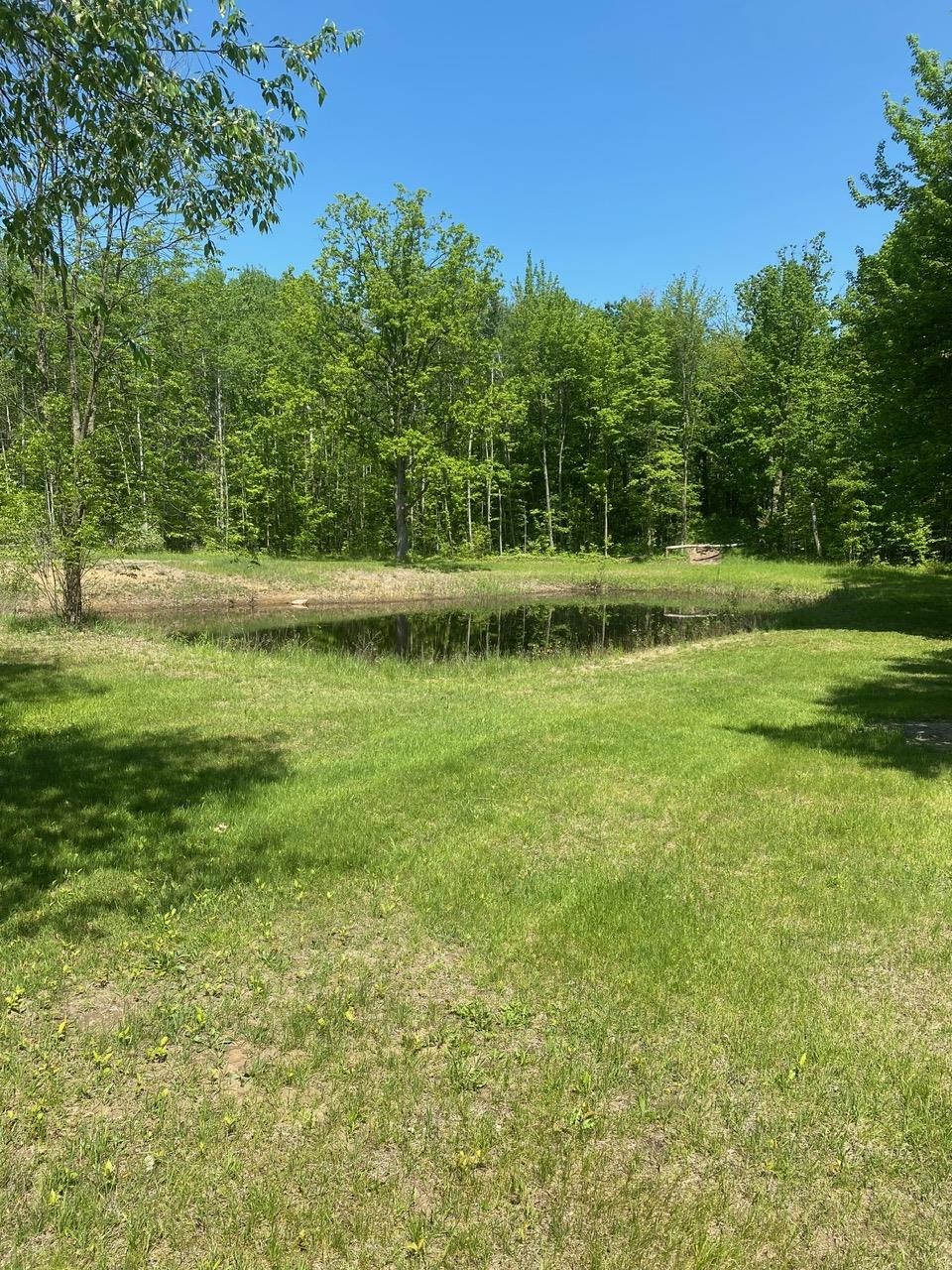 3302 Dana Road Coleman, MI 48618 - Photo 3 of 50