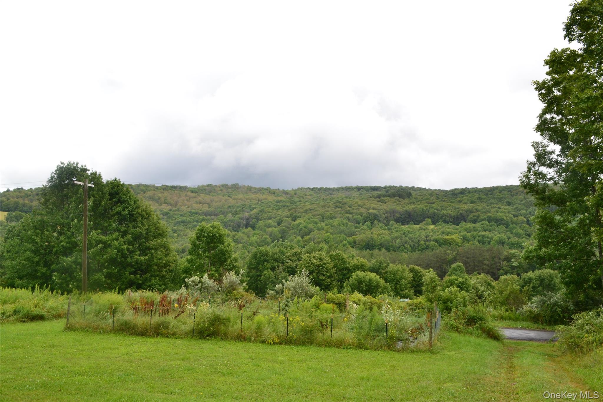 833 Biffar Road Long Eddy, NY 12760 - Photo 30 of 36 Side Yard Garden