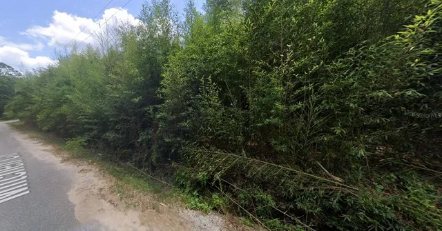 a picture of city view