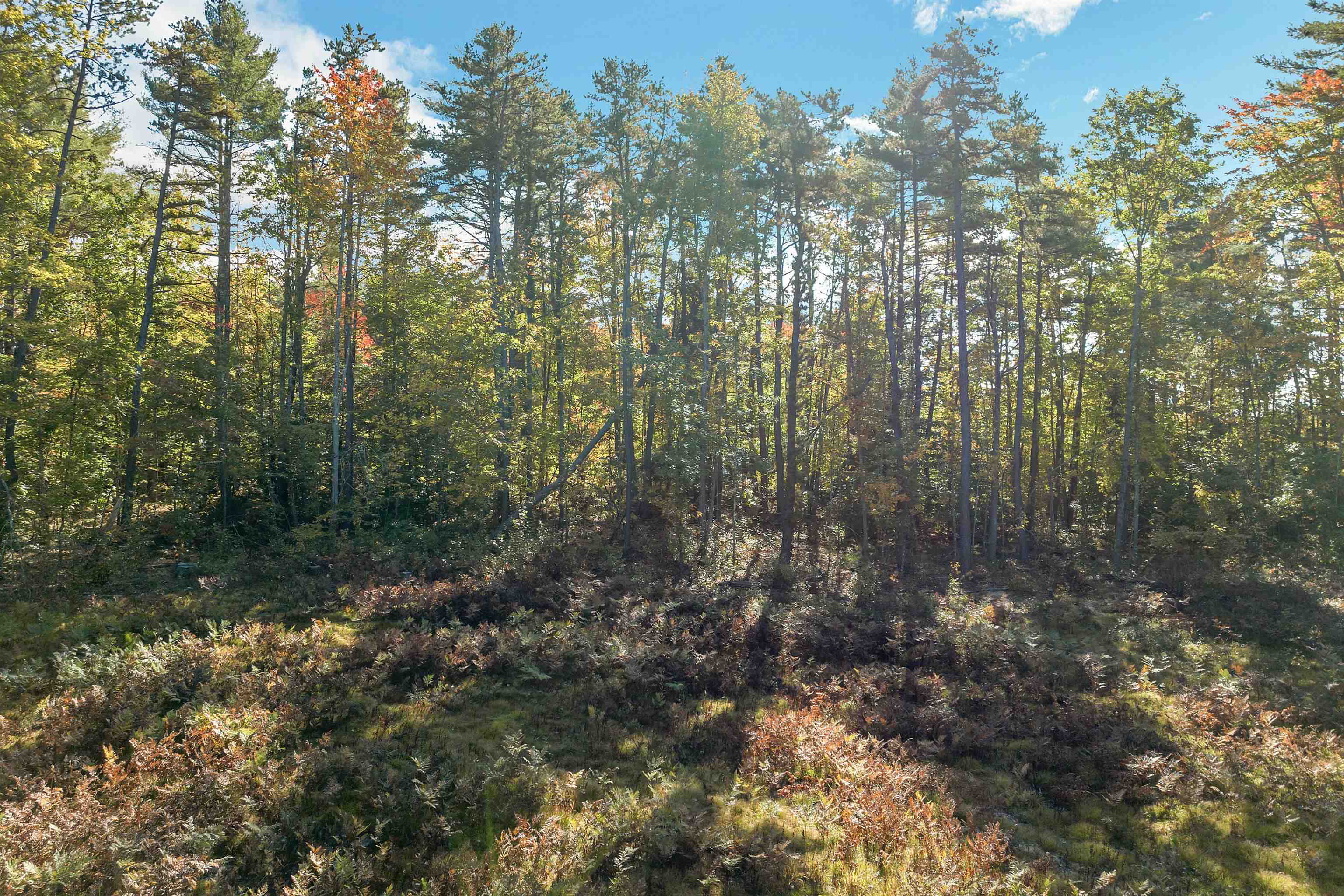 178 Pine River Path Effingham, NH 03882 - Photo 3 of 10