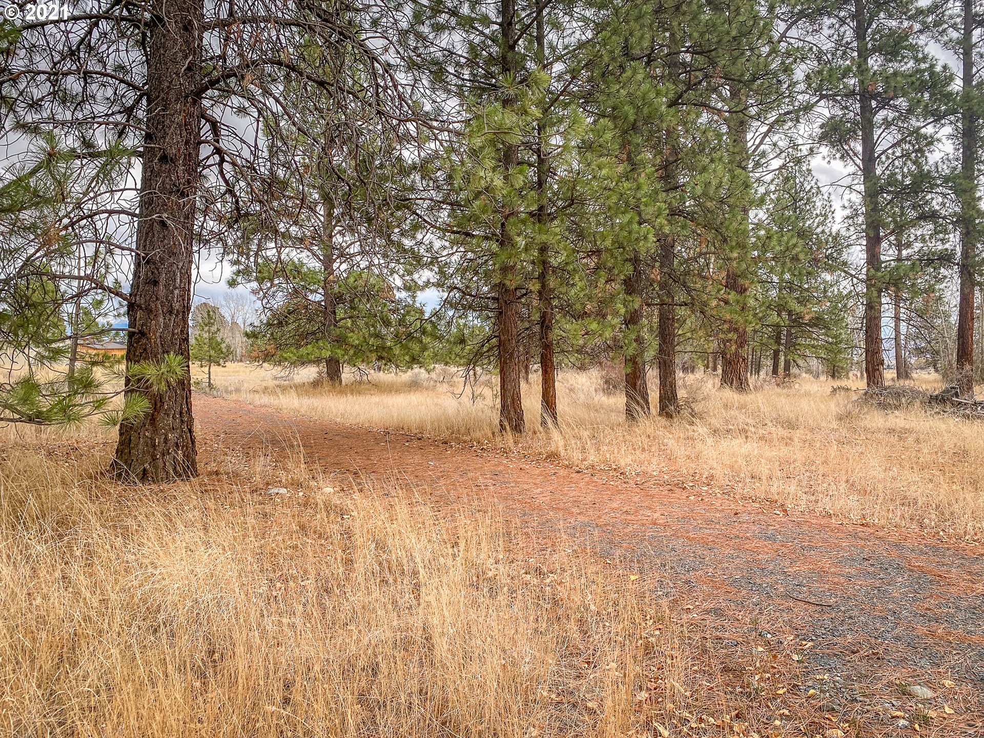 Wingville Cemetery Baker City, OR 97814 - Photo 2 of 5 Gallery Image 2