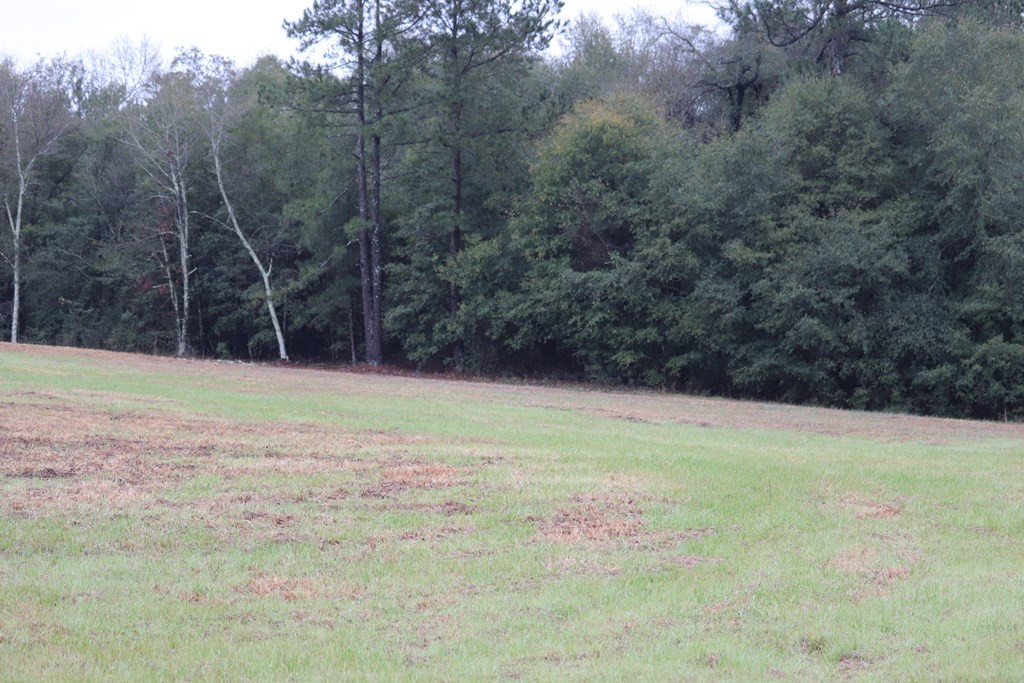 2188 Mcelmurray Road Hephzibah, GA 30815 - Photo 12 of 26