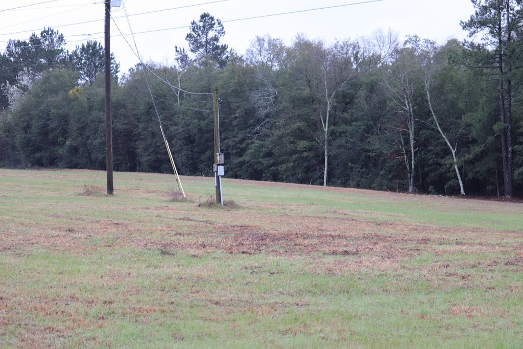 2188 Mcelmurray Road Hephzibah, GA 30815 - Photo 13 of 26