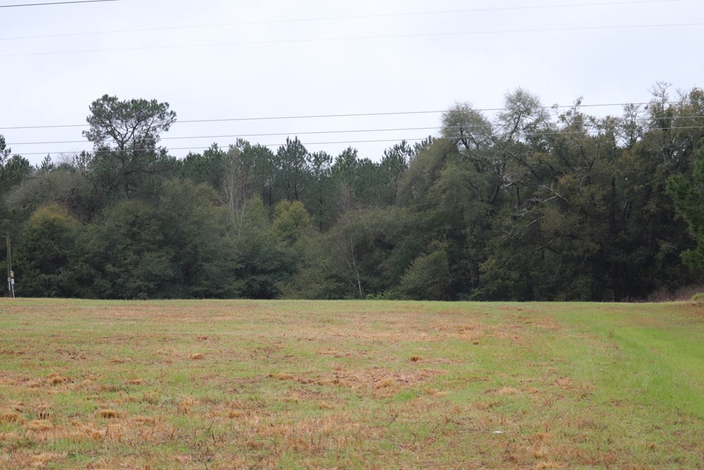 2188 Mcelmurray Road Hephzibah, GA 30815 - Photo 2 of 26
