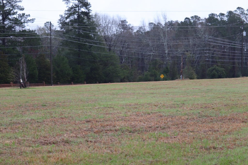 2188 Mcelmurray Road Hephzibah, GA 30815 - Photo 21 of 26