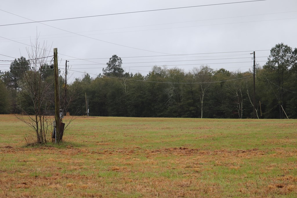 2188 Mcelmurray Road Hephzibah, GA 30815 - Photo 3 of 26