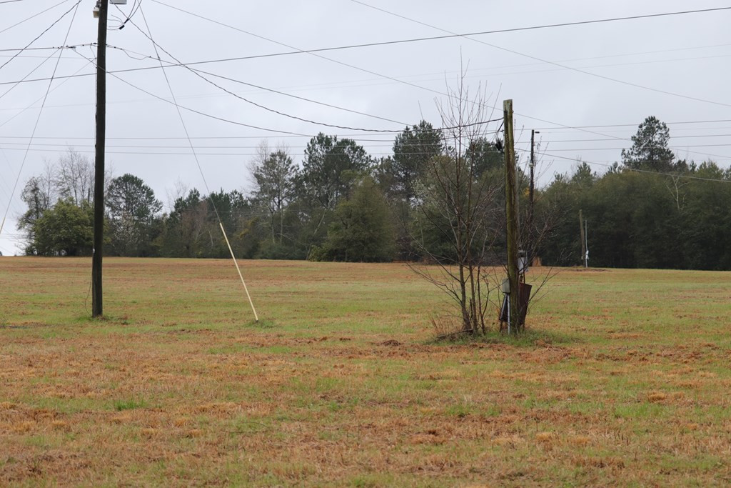 2188 Mcelmurray Road Hephzibah, GA 30815 - Photo 4 of 26