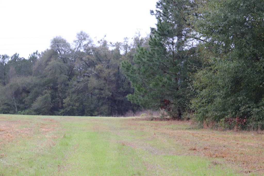 2188 Mcelmurray Road Hephzibah, GA 30815 - Photo 9 of 26