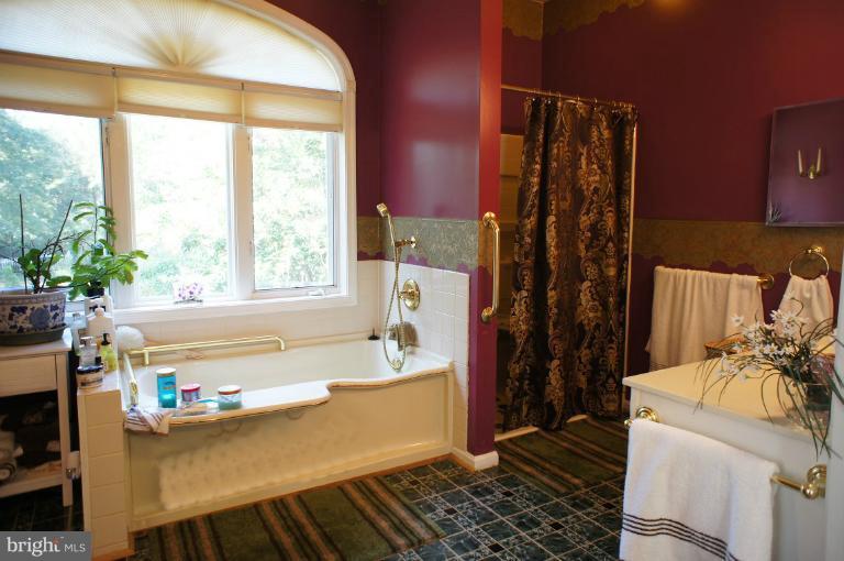 10481 Cliff Mills Road Marshall, VA 20115 - Photo 13 of 30 Bath (Master)