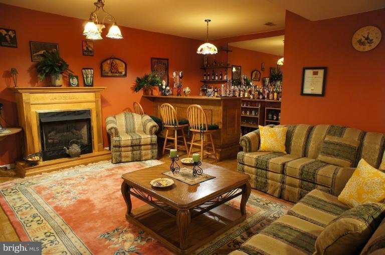 10481 Cliff Mills Road Marshall, VA 20115 - Photo 21 of 30 Basement