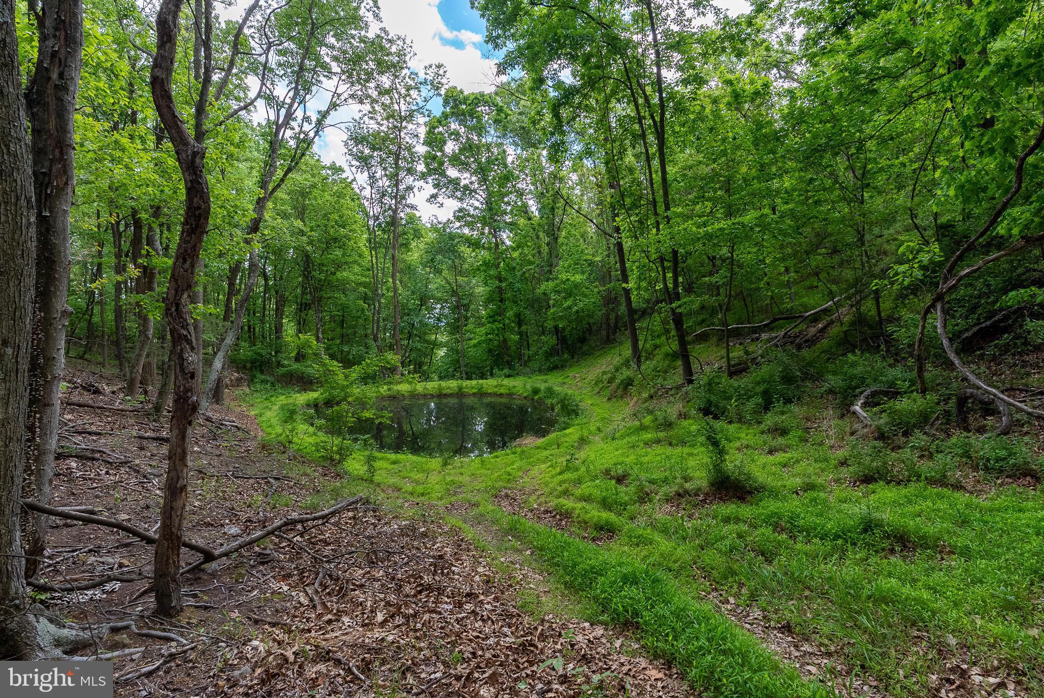 2598 Mountain View Road Purgitsville, WV 26852 - Photo 84 of 89