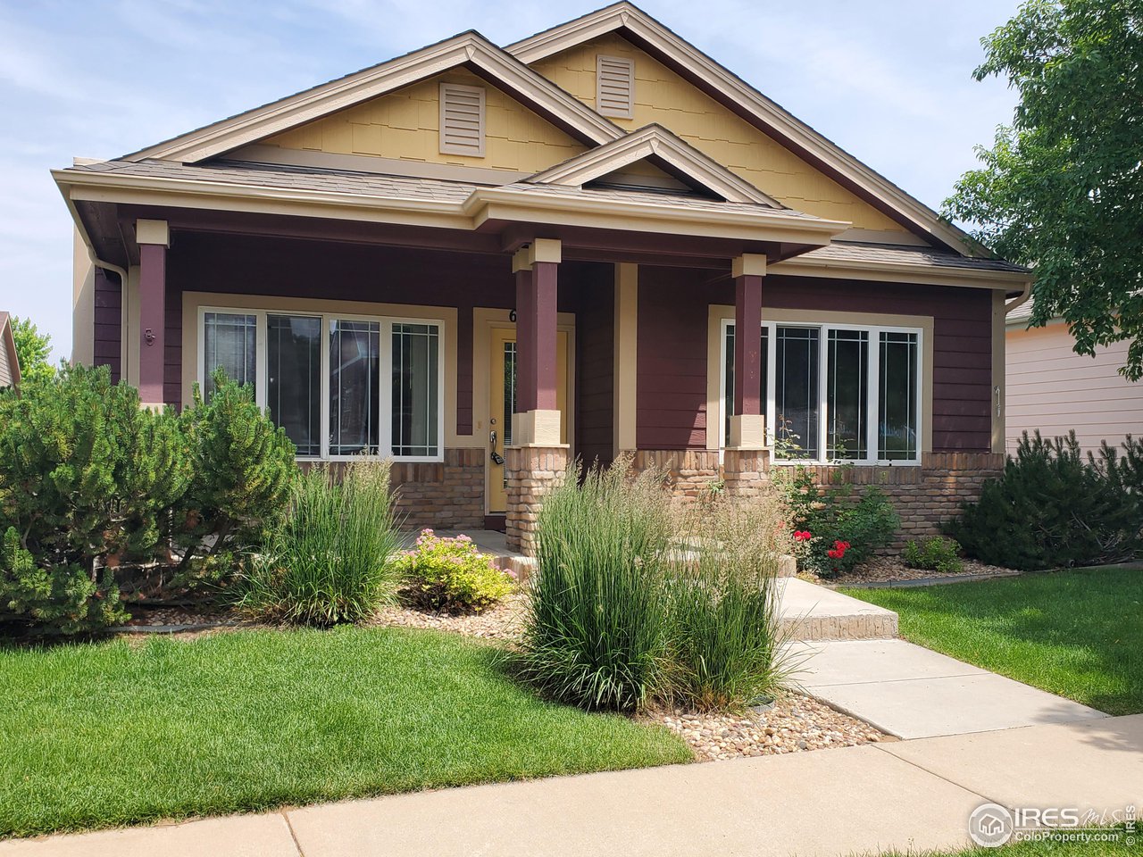 6541 West 18th Street Road Greeley, CO 80634 - Photo 1 of 40 a front view of a house with a yard