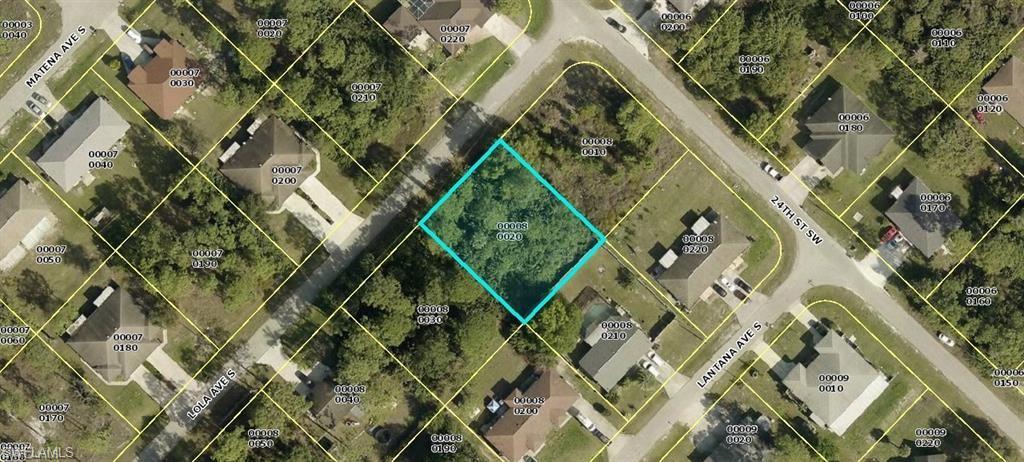 a picture of a plant