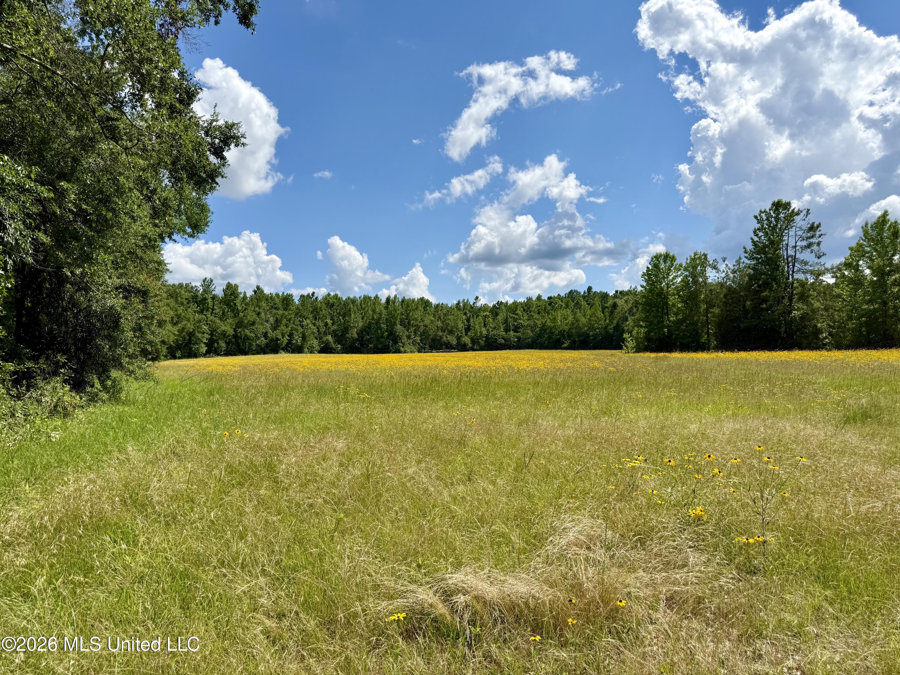 2900 Rockport Rd A Lexington, MS 39095 - Photo 23 of 59 Photo May 29 2026, 3 16 42 PM