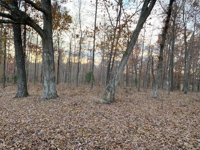 4 West Lick Creek Road Primm Springs, TN 38476 - Photo 4 of 13 a backyard of a house with lots of green space
