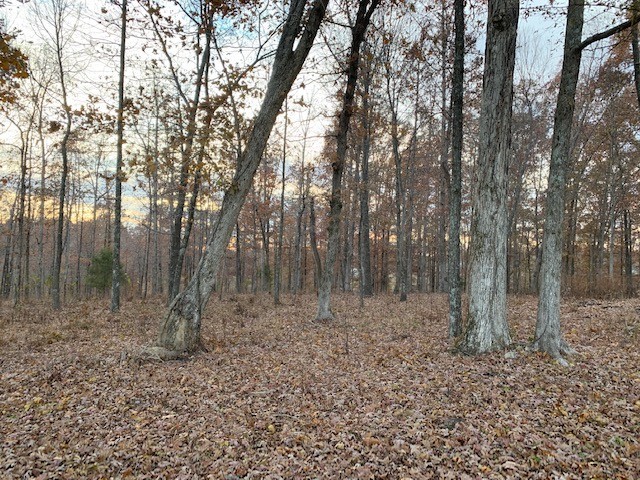 4 West Lick Creek Road Primm Springs, TN 38476 - Photo 5 of 13 a view of a forest with trees in the background