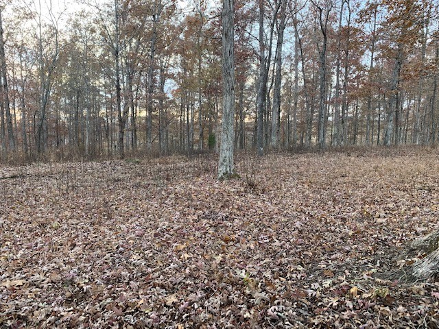 4 West Lick Creek Road Primm Springs, TN 38476 - Photo 8 of 13 a view of a yard with trees in the background