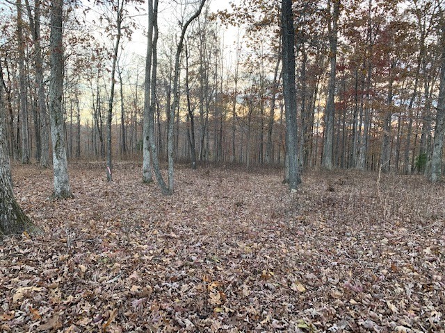 4 West Lick Creek Road Primm Springs, TN 38476 - Photo 10 of 13 a view of outdoor space with green field and trees