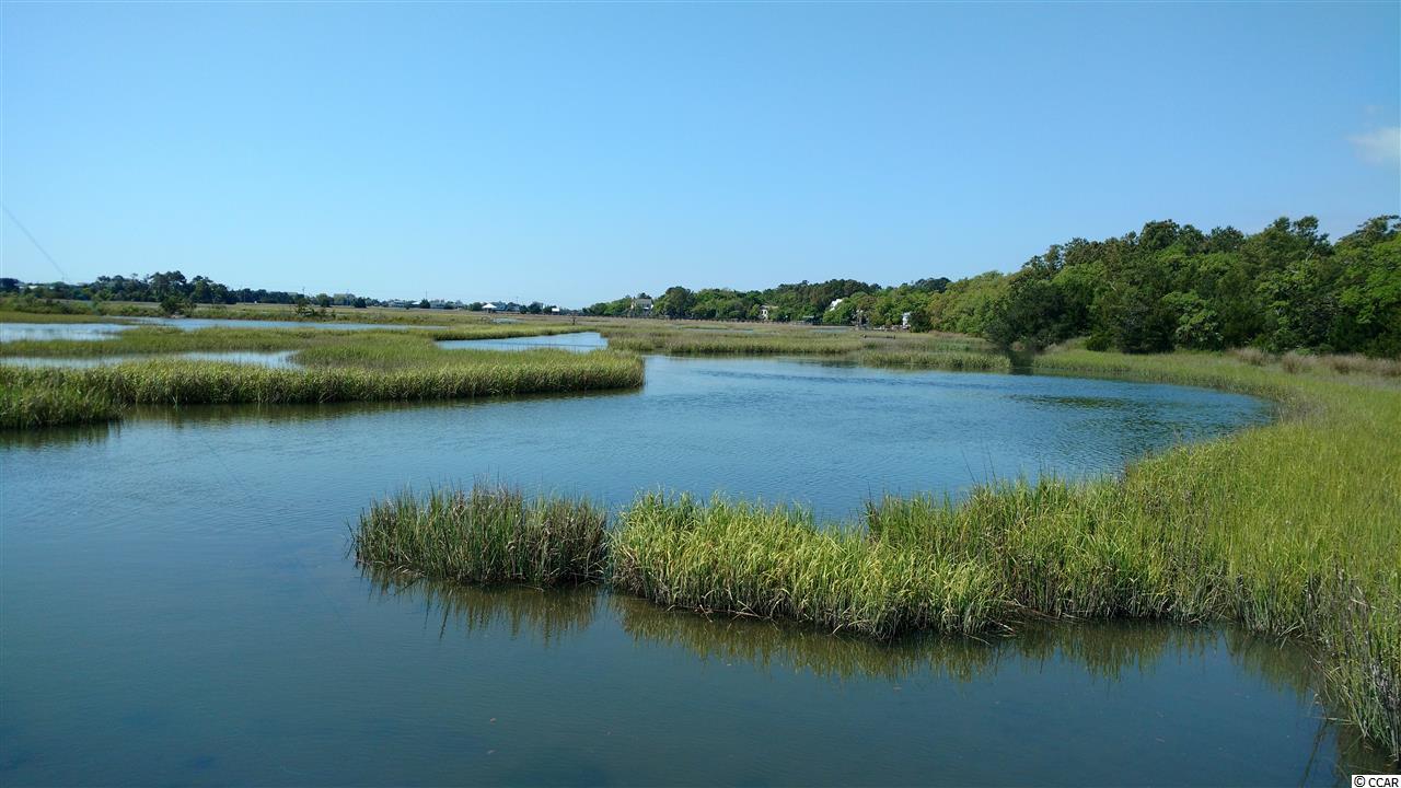 701 Pickering Drive, Unit 302 Murrells Inlet, SC 29576 - Photo 36 of 40 Gallery Image 36
