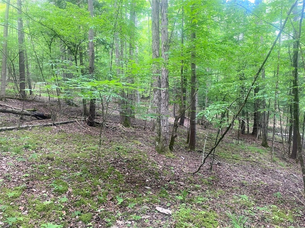5295 Snowball Hollow Road Scio, NY 14880 - Photo 46 of 50