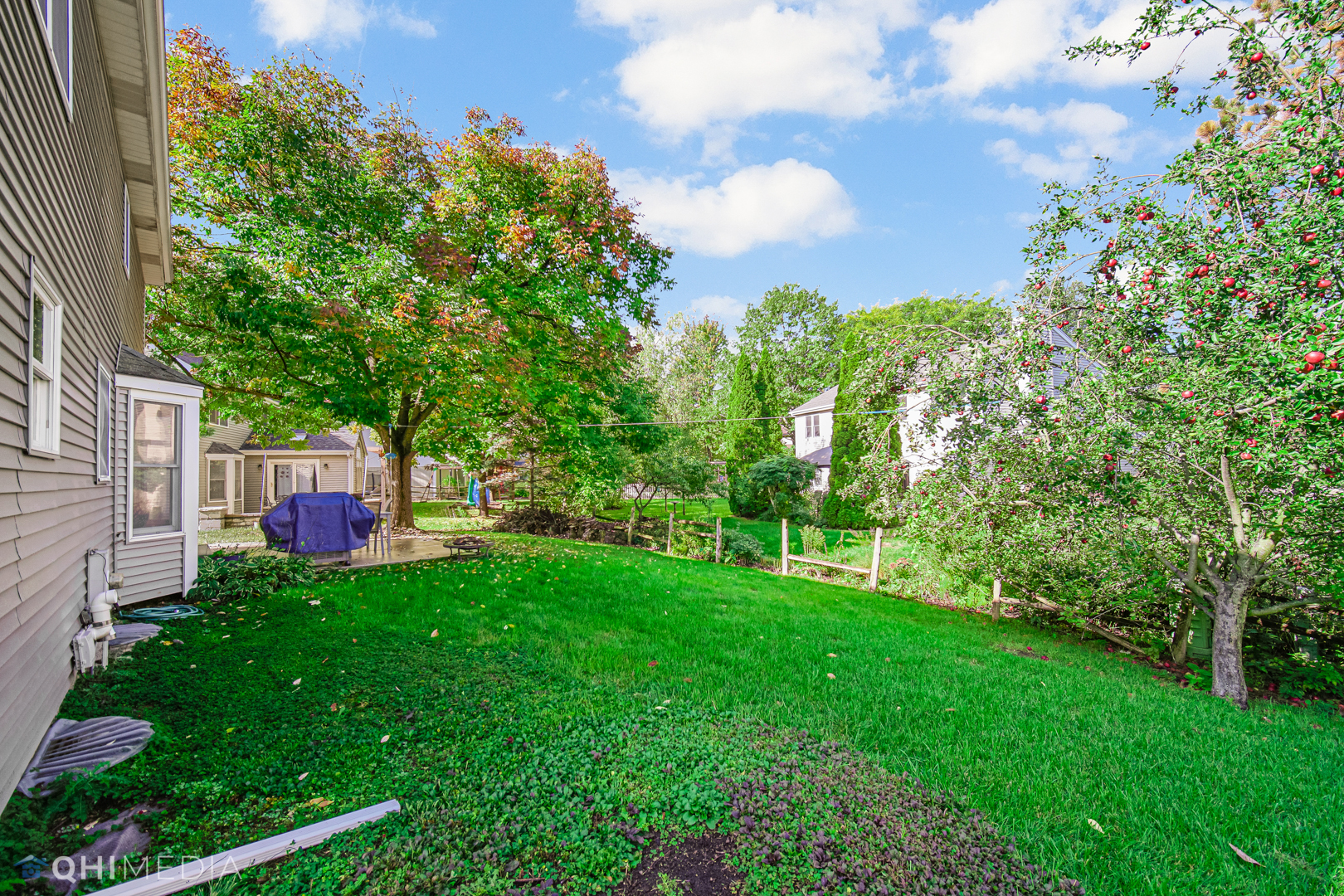 2125 Forest Ridge Road St. Charles, IL 60174 - Photo 27 of 28 a view of a house with a backyard