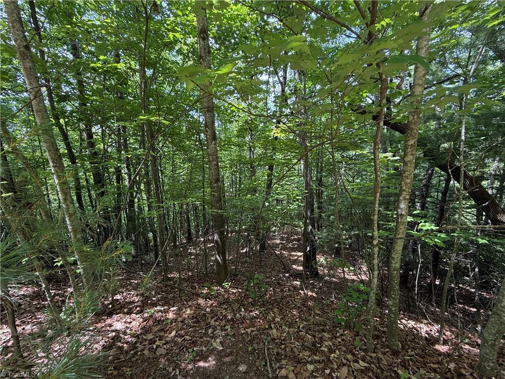 Lot 132 Warren Way Purlear, NC 28665 - Photo 2 of 29