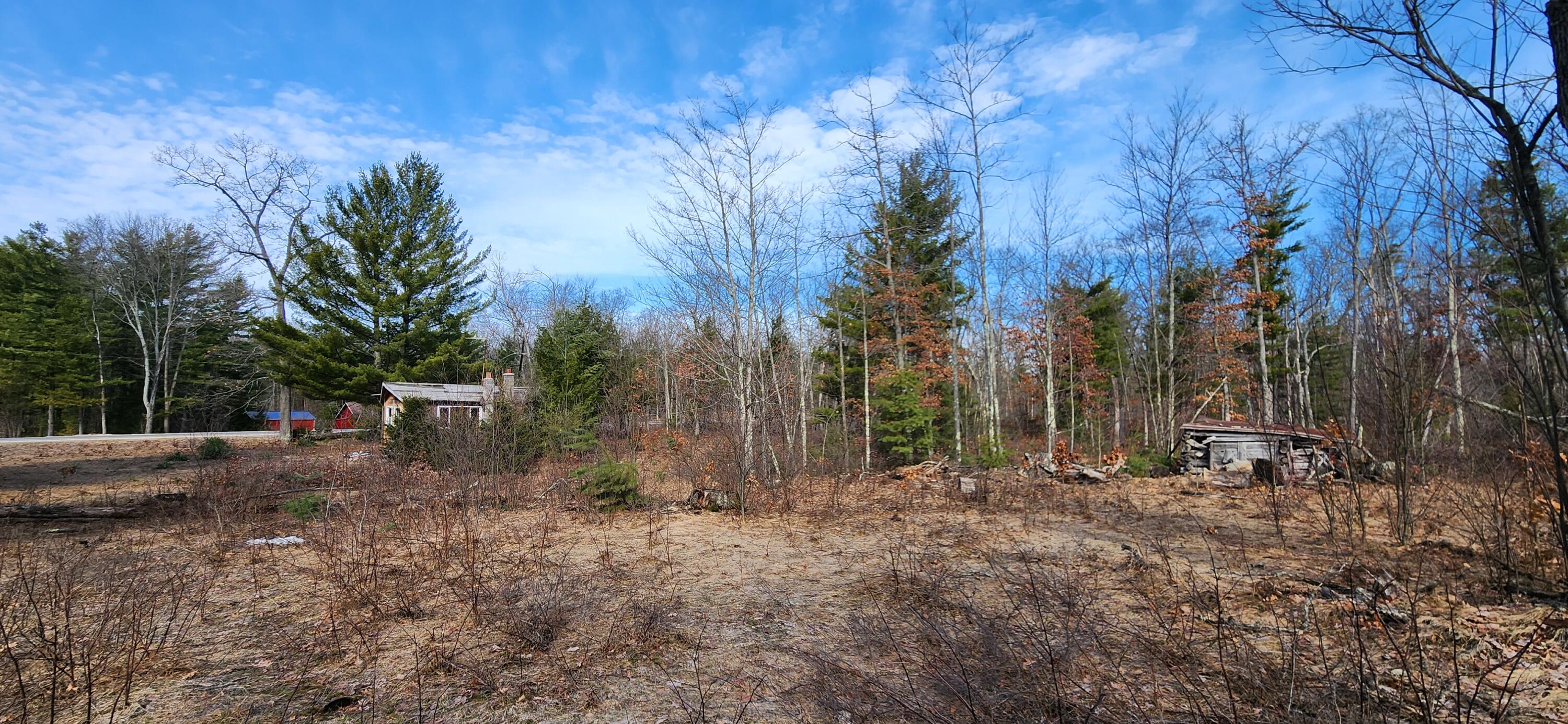 7746 North Woodbridge Road Brohman, MI 49312 - Photo 12 of 41 10 acres