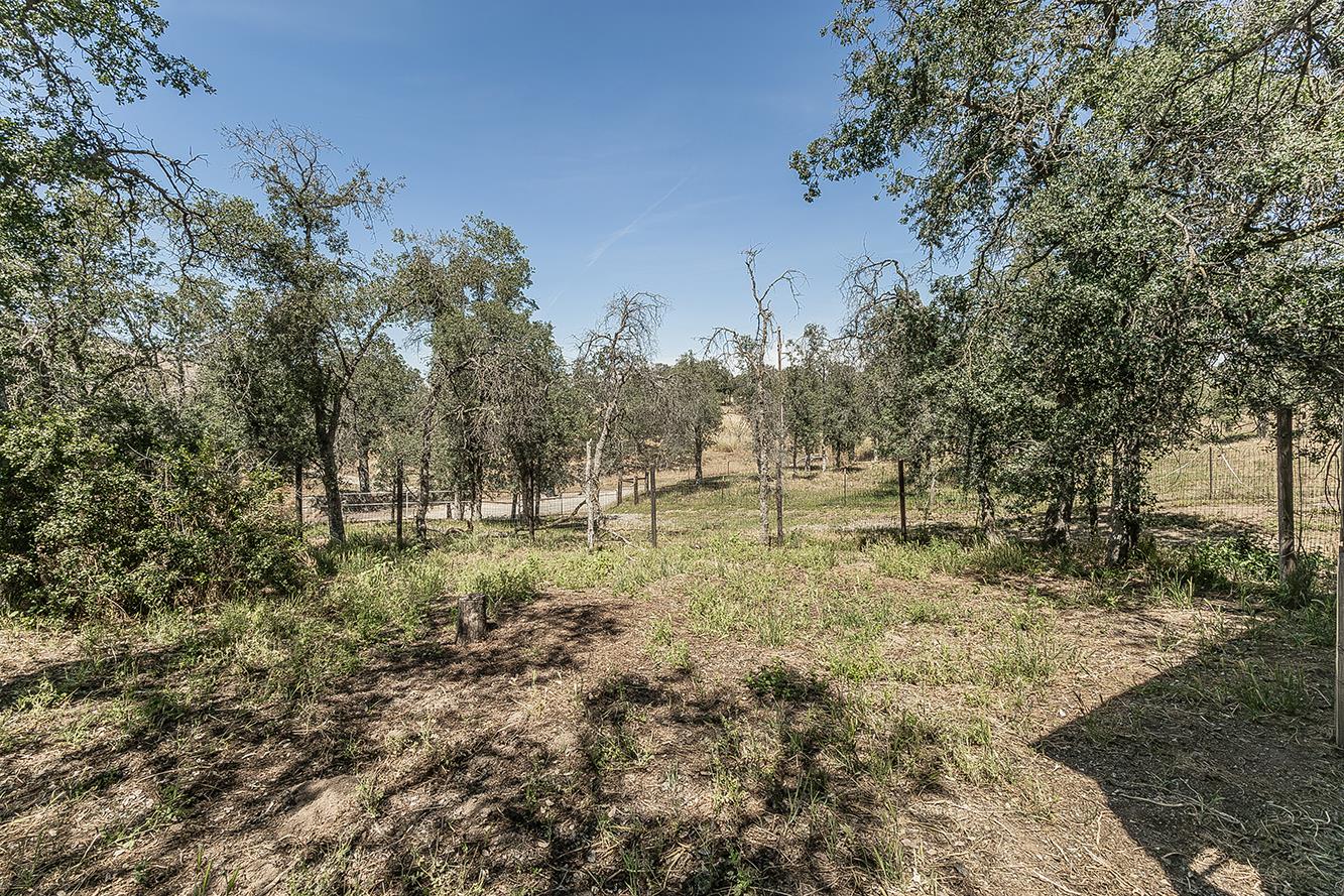 14815 Garlock Lane Prather, CA 93651 - Photo 43 of 80 a view of outdoor space and trees