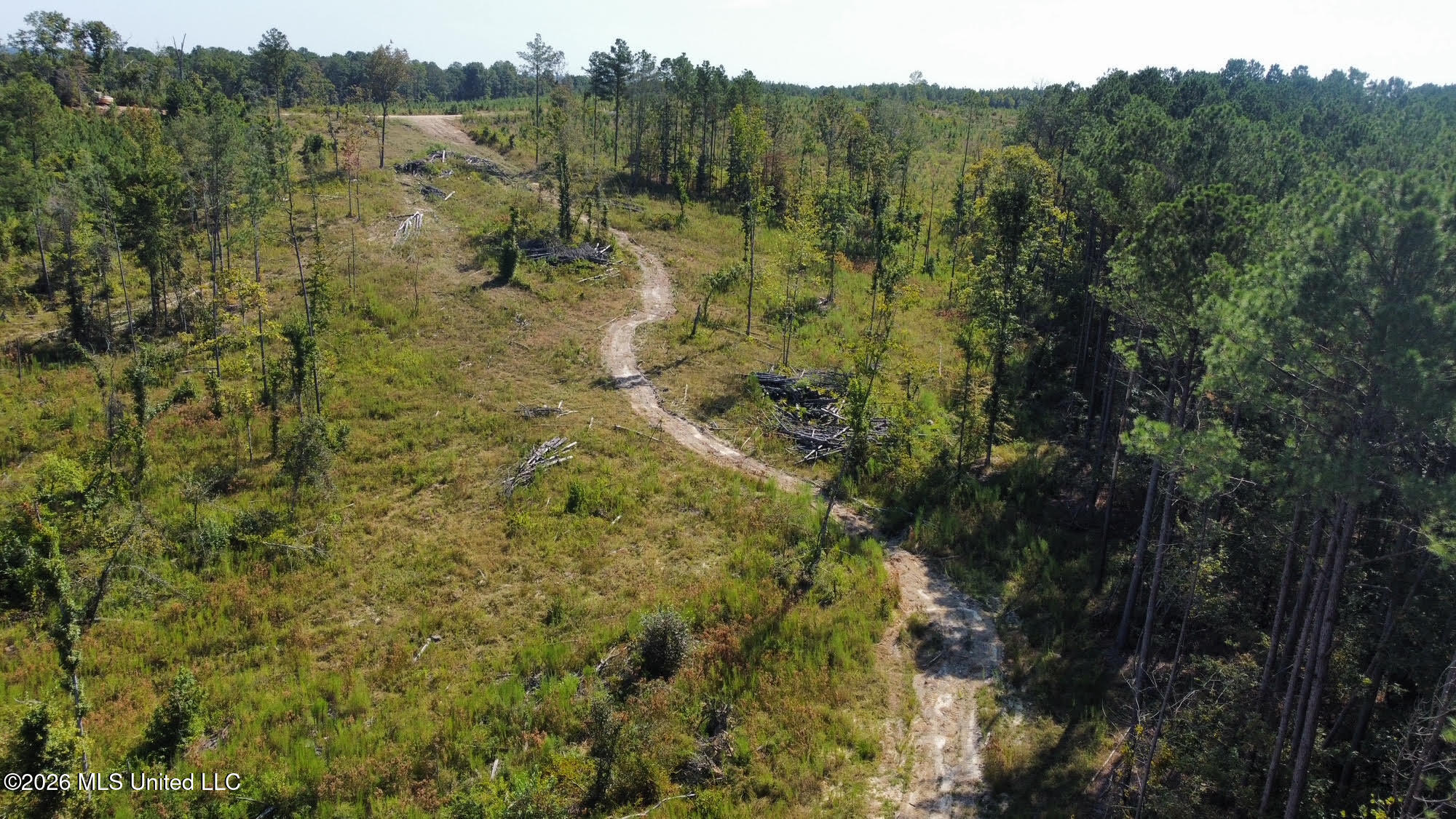 1 Highway 35 Carthage, MS 39051 - Photo 17 of 21 29