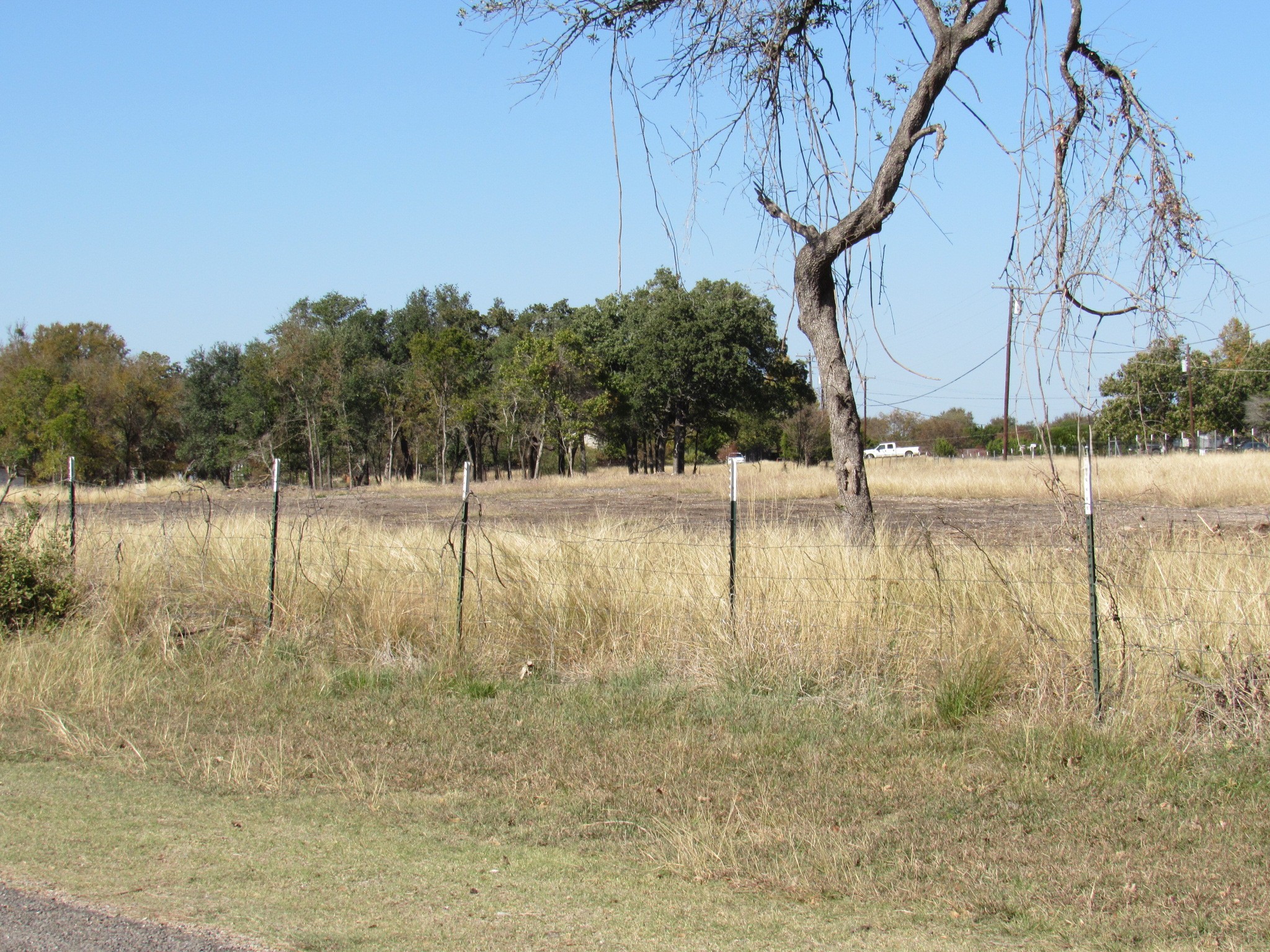 Tbd Long Bow Road Belton, TX 76513 - Photo 9 of 9 View of local wilderness