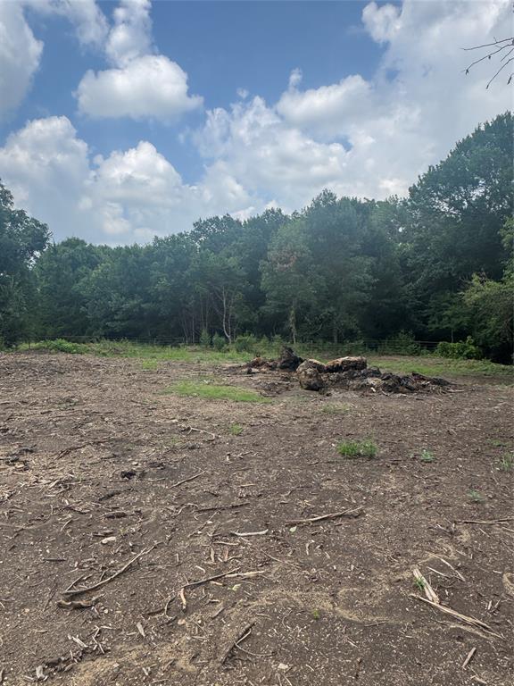 Tbd Burke Road Gunter, TX 75058 - Photo 4 of 6