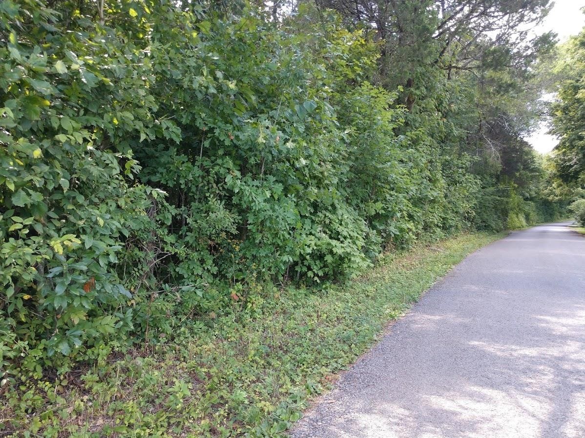 2366 Tracy Road Watertown, TN 37184 - Photo 18 of 25 a view of a large yard with lots of green space