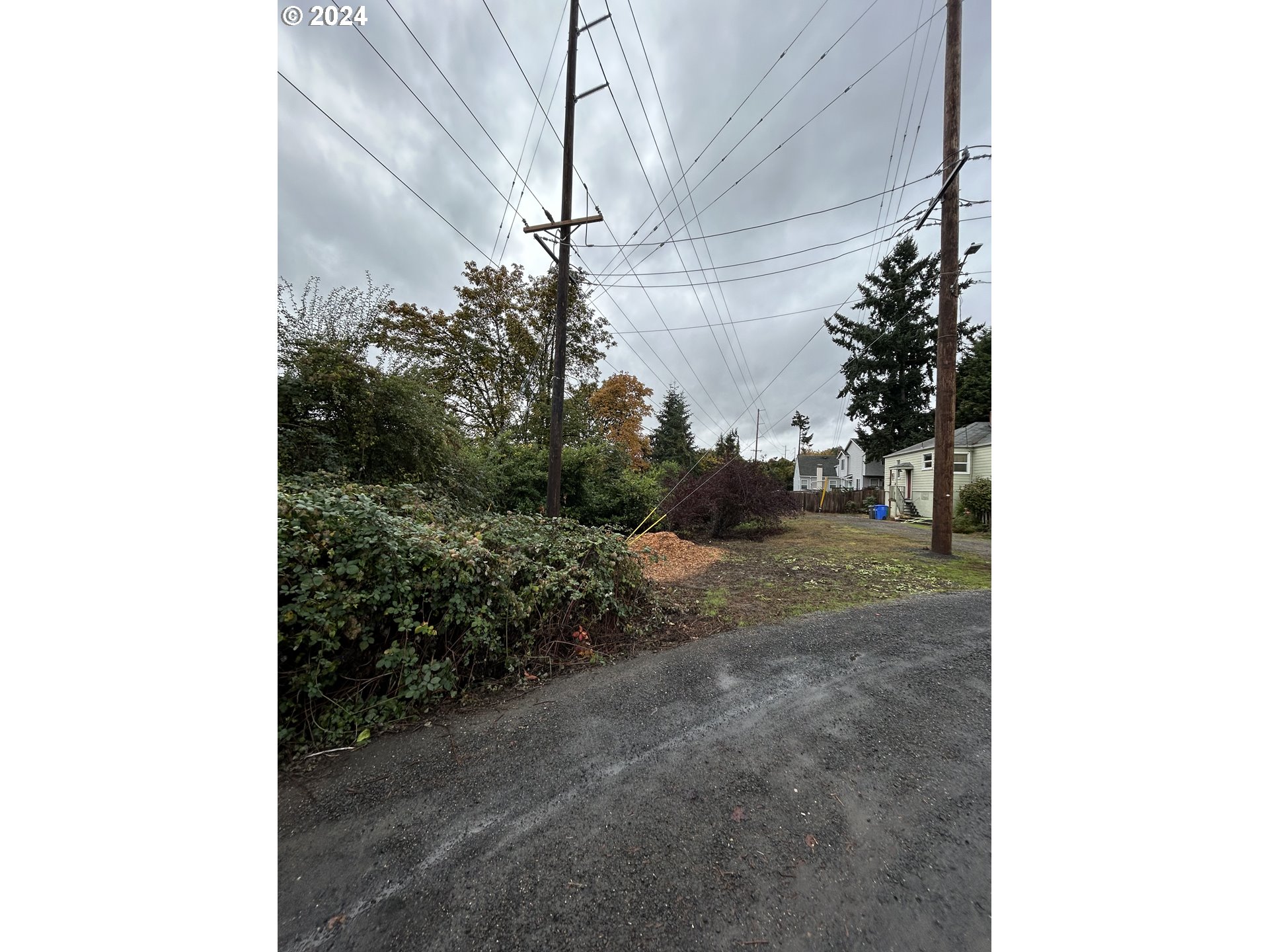 1 Levy Code Portland, OR 97219 - Photo 3 of 3 a view of a yard with plants and a brick wall