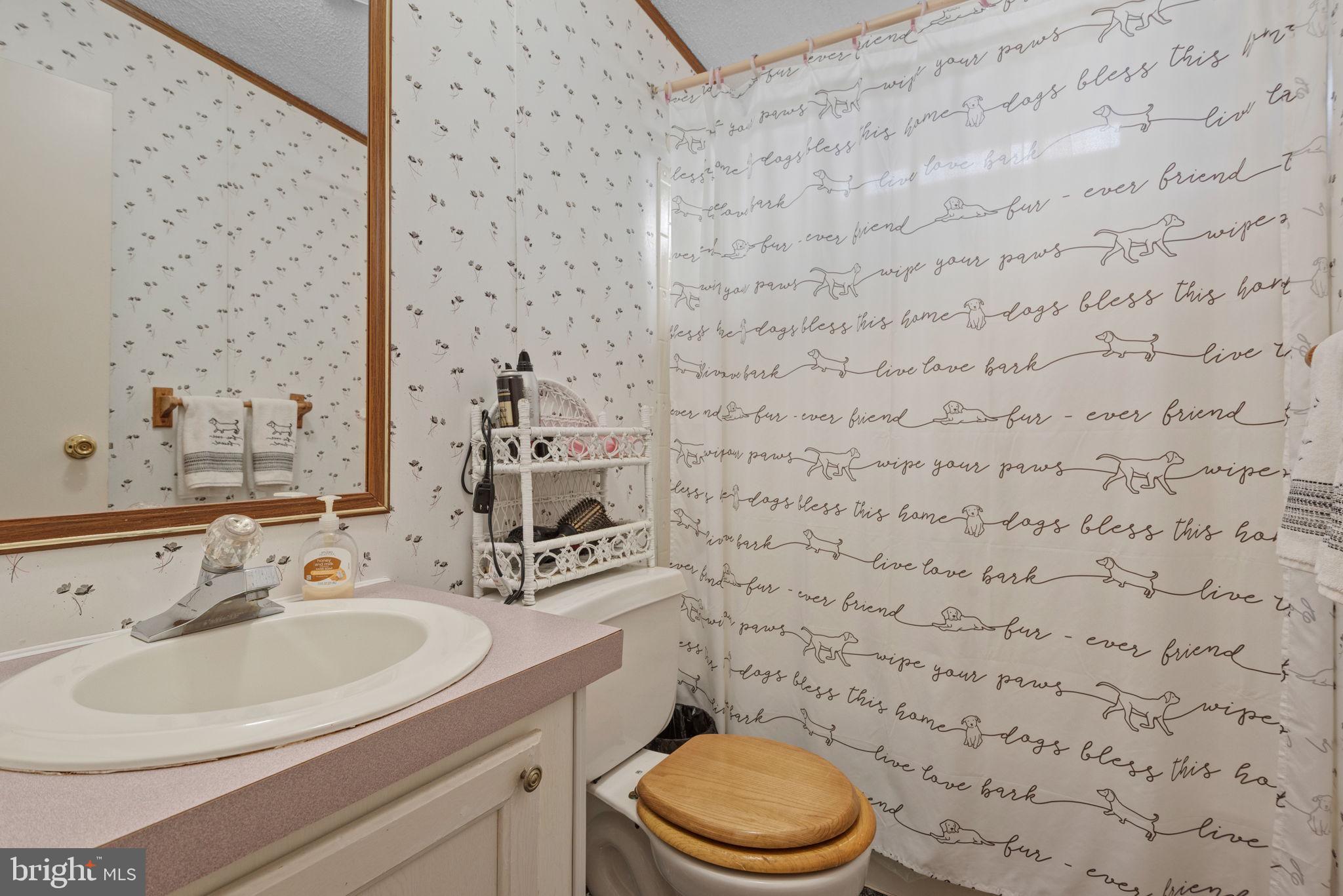 114 Pheasant Ridge Circle Lancaster, PA 17603 - Photo 20 of 24 a bathroom with a sink a toilet and a mirror