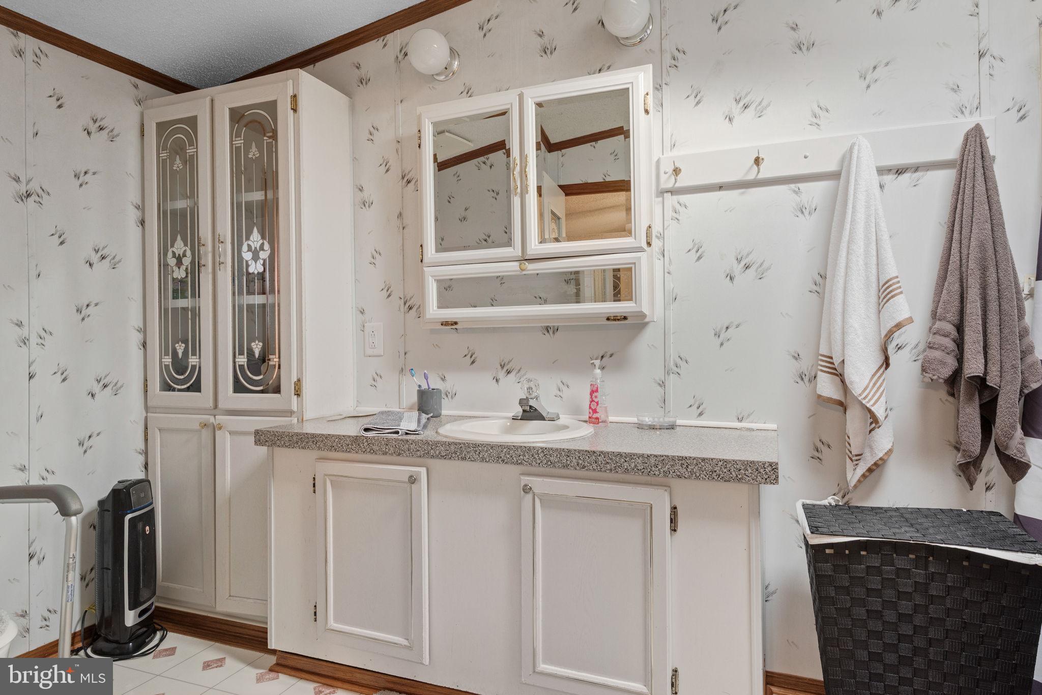 114 Pheasant Ridge Circle Lancaster, PA 17603 - Photo 22 of 30 a bathroom with a granite countertop sink and a mirror