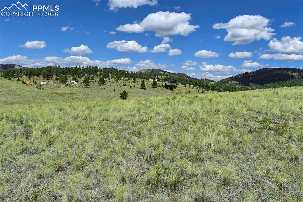4680 County Road 71 Guffey, CO 80820 - Photo 13 of 15
