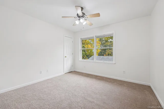 a view of a yard in front of a house with plants and large tree