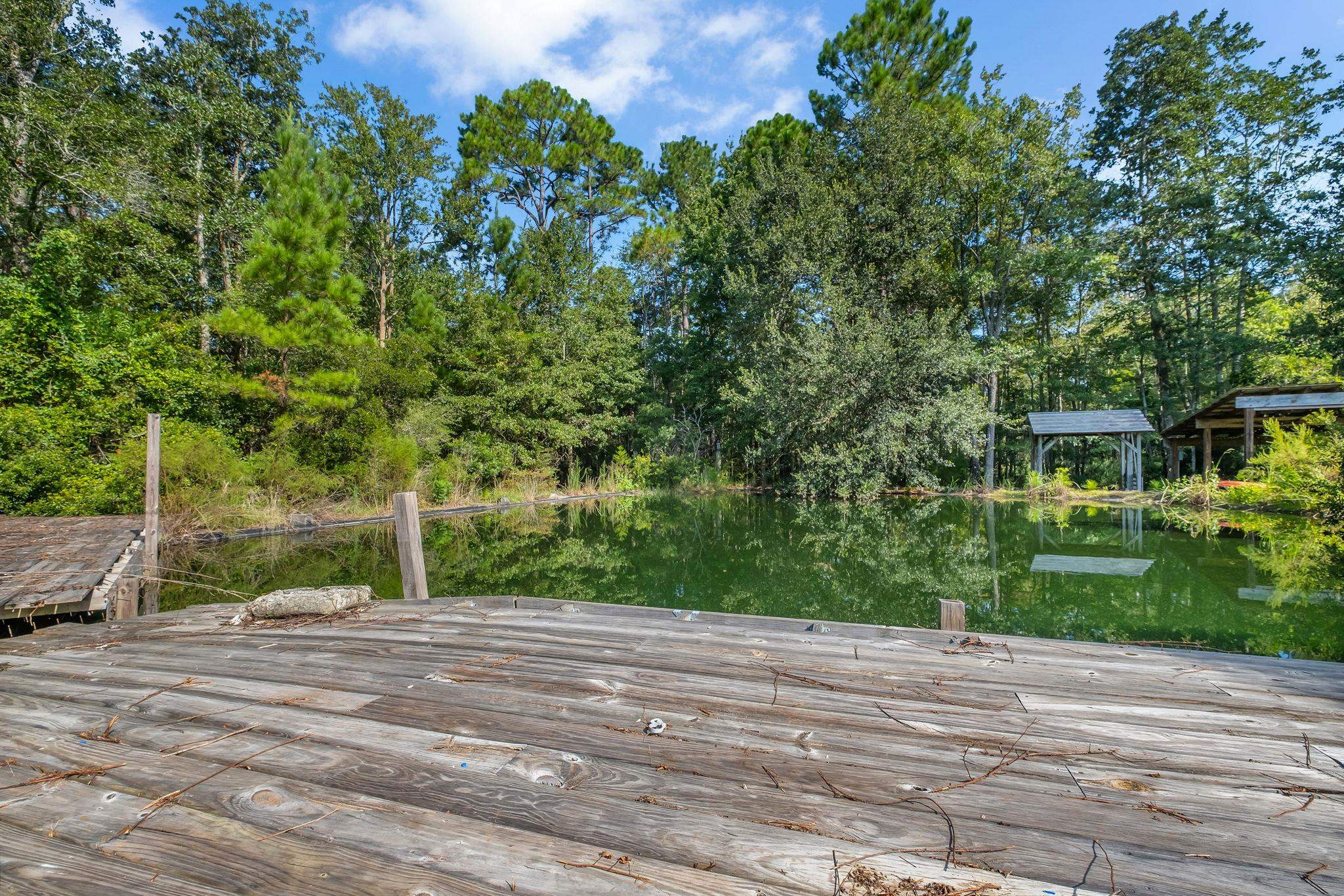 34 Fire Escape Road St. Marks, FL 32327 - Photo 8 of 25