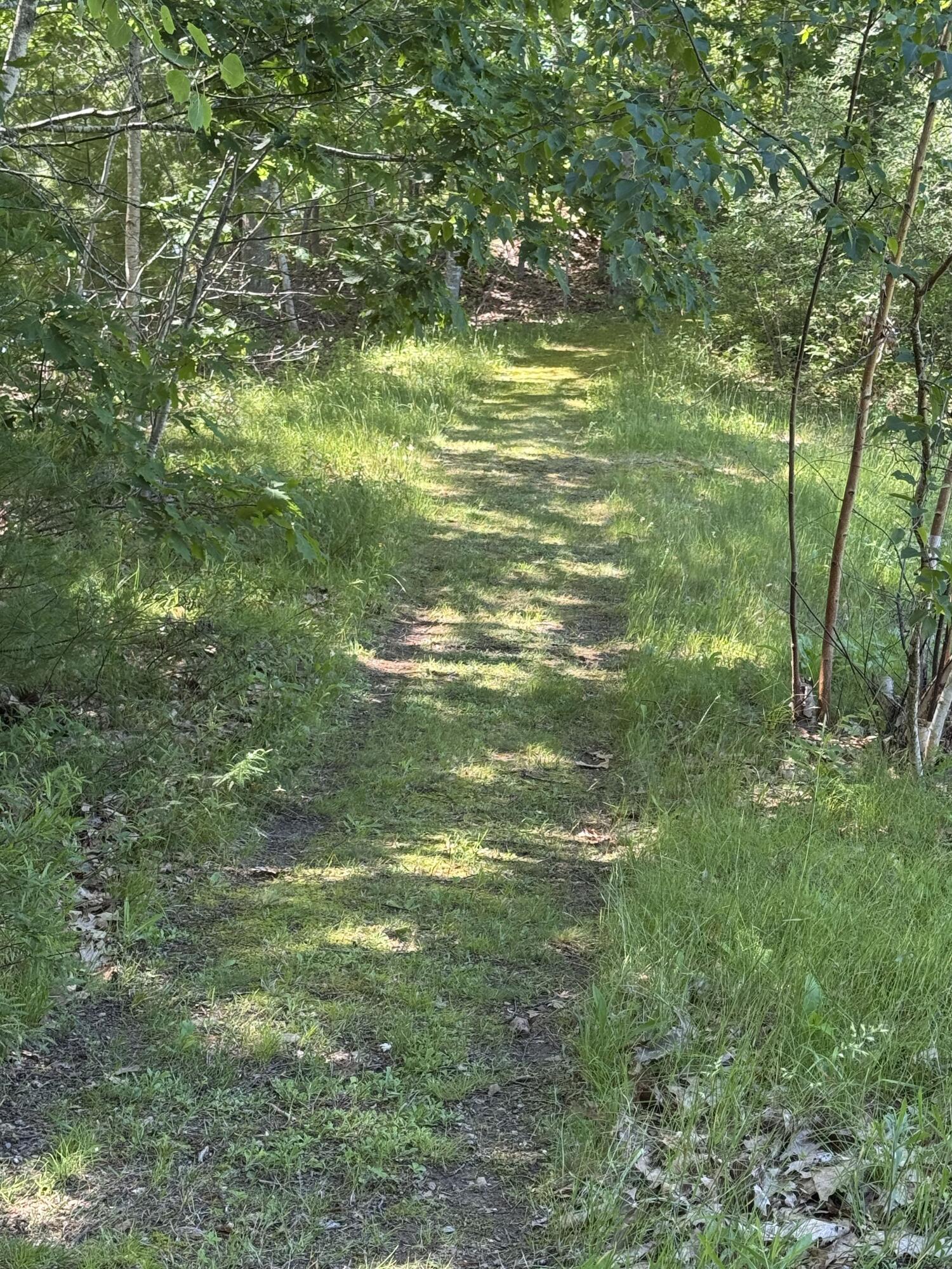 26 Martin Road Alna, ME 04535 - Photo 94 of 101 Cut Path