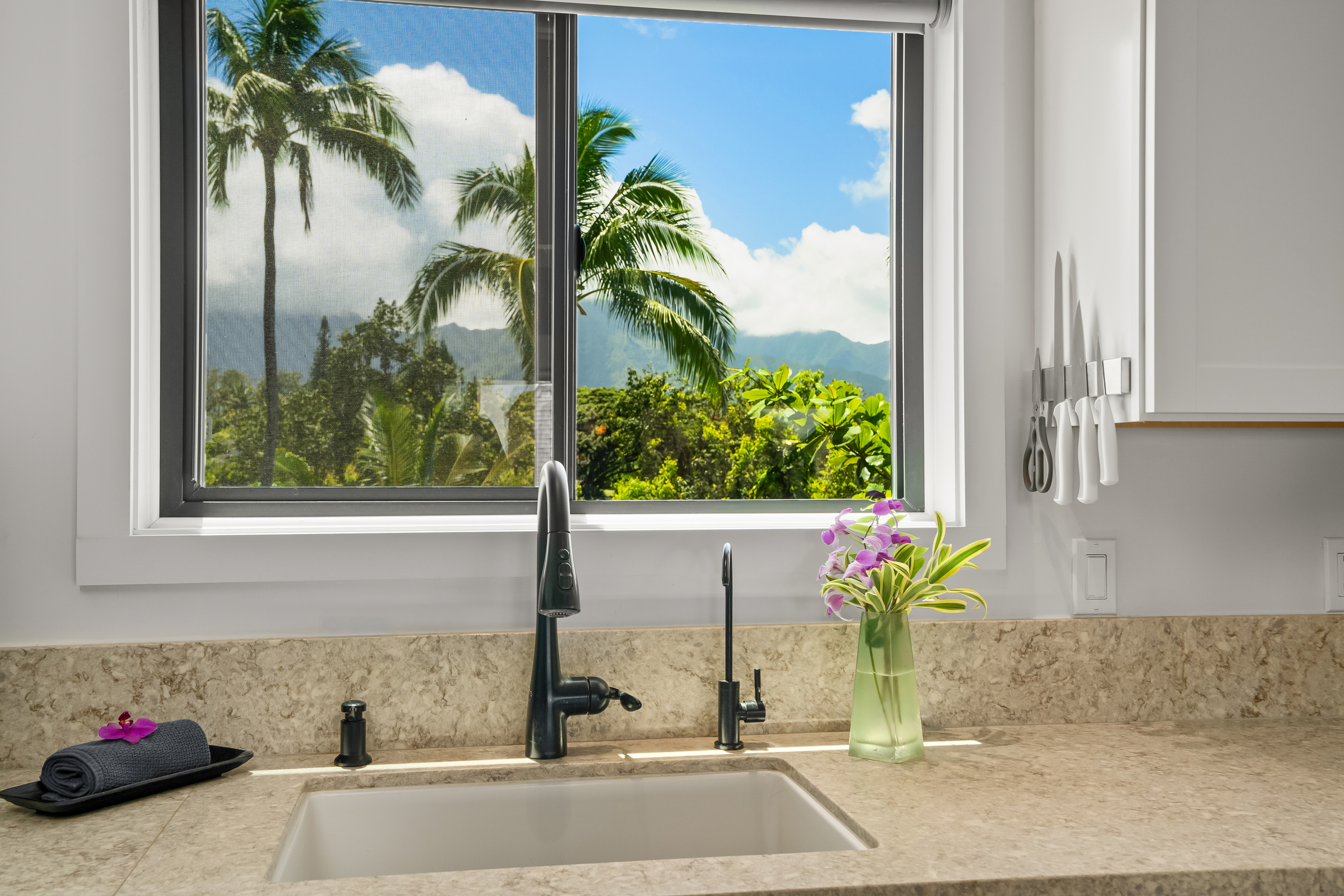 3700 Kamehameha Road, Unit F8 Princeville, HI 96722 - Photo 9 of 30 a potted plant sitting on a counter next to a window