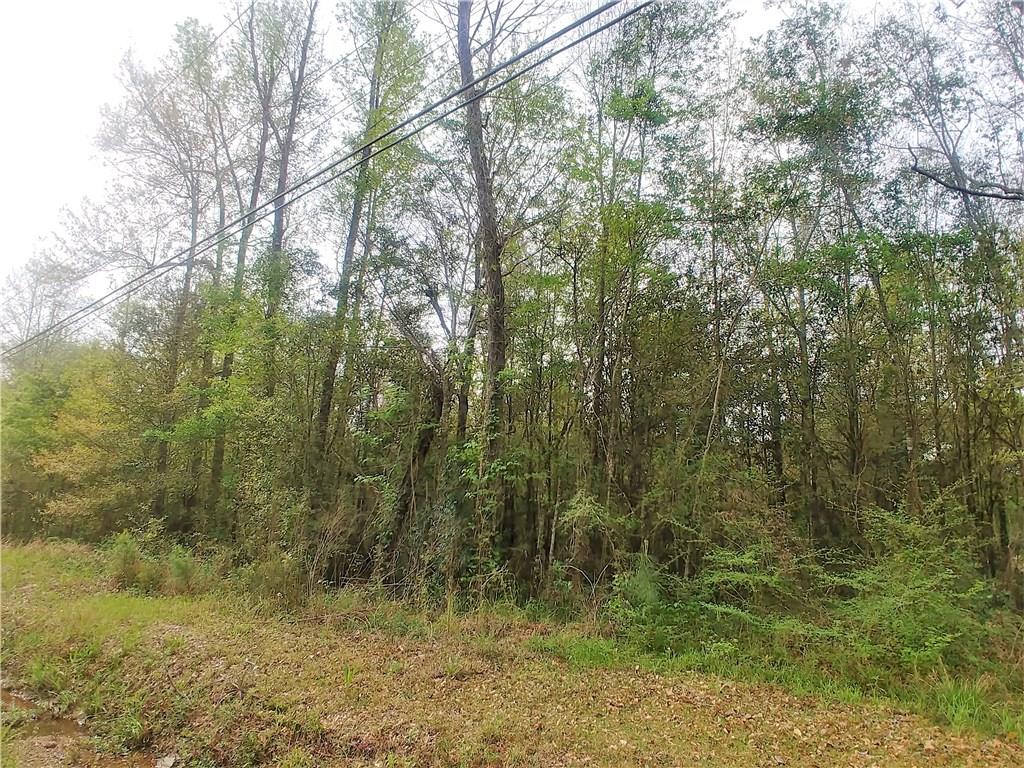 Lot D Dixie Ranch Road Slidell, LA 70460 - Photo 8 of 9 Gallery Image 8