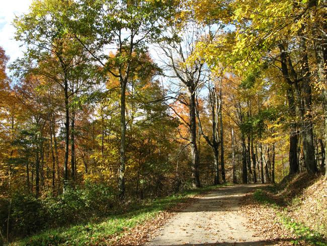 100 Red Springs Road Meadow Bridge, WV 25976 - Photo 5 of 27 county road at top