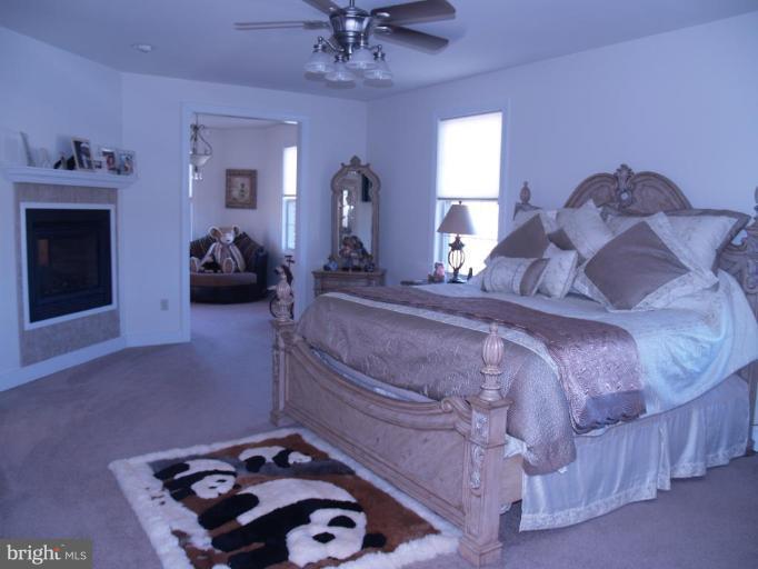 8205 Prophet Acres Road Fairplay, MD 21733 - Photo 14 of 30 Master Bedroom