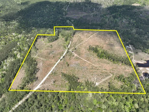 $285,200 | 0 County Road 2834, Colmesneil, TX 75938