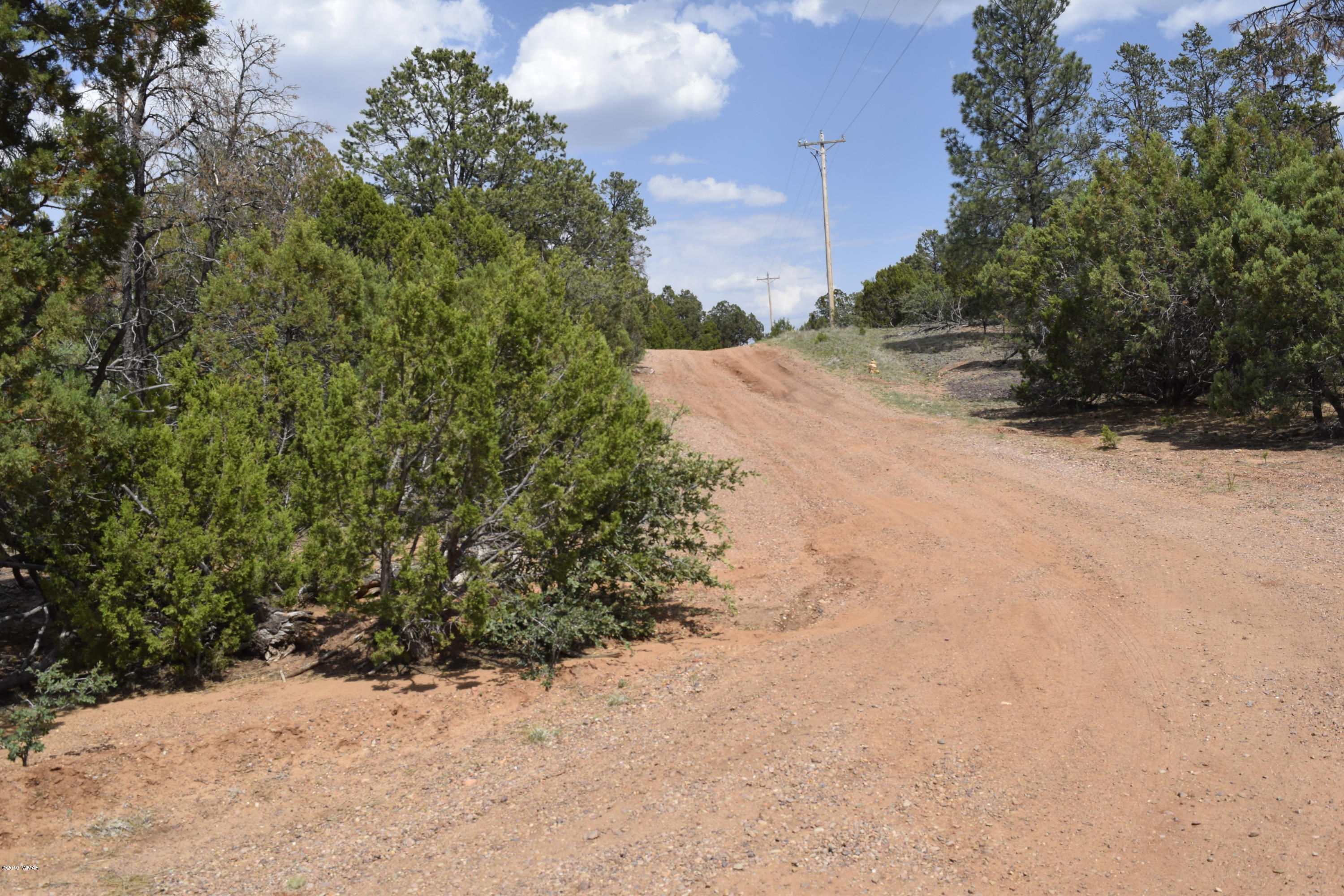 3338 Rustic Court Overgaard, AZ 85933 - Photo 2 of 10 Gallery Image 2