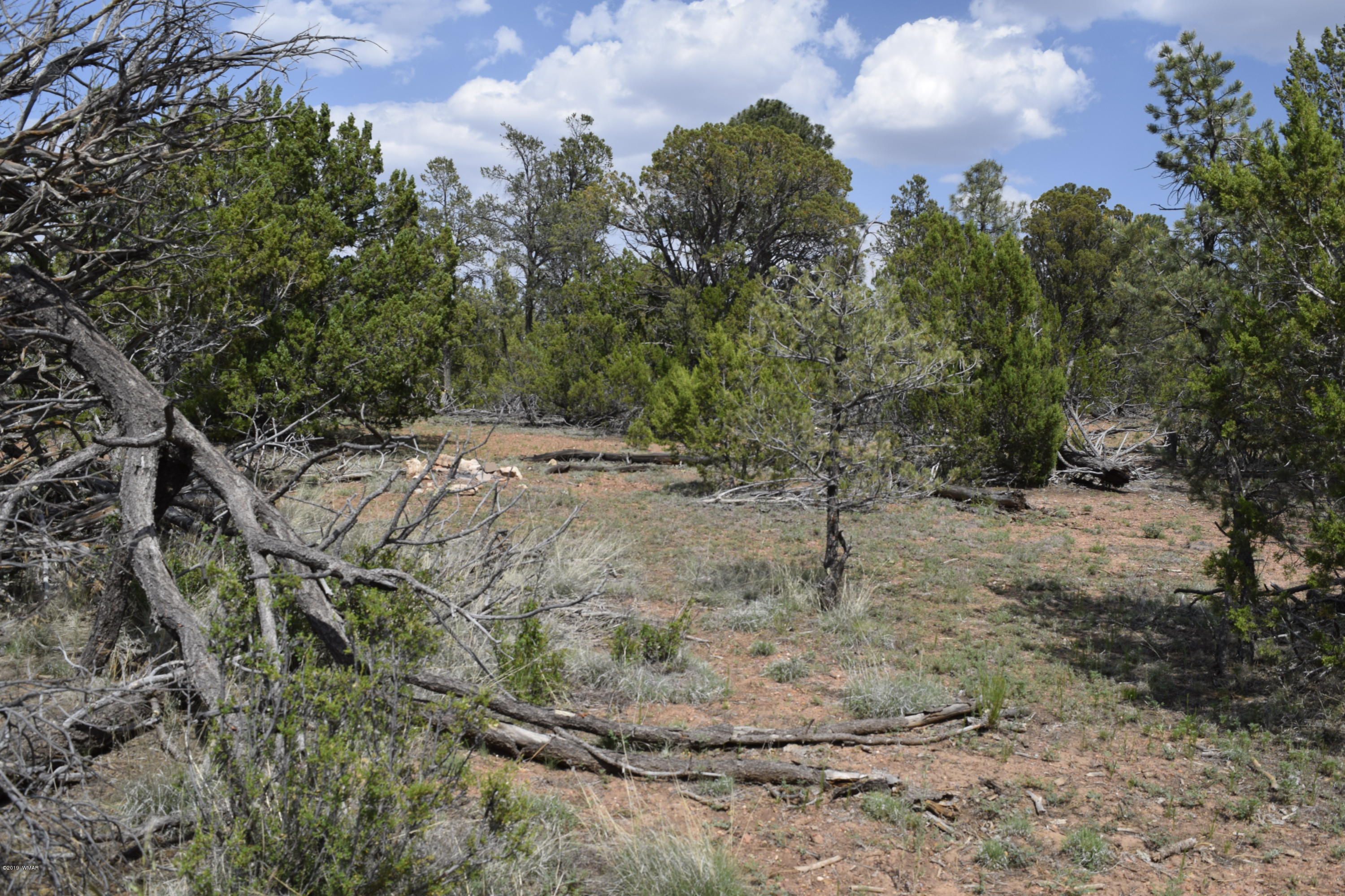 3338 Rustic Court Overgaard, AZ 85933 - Photo 10 of 10 Gallery Image 10