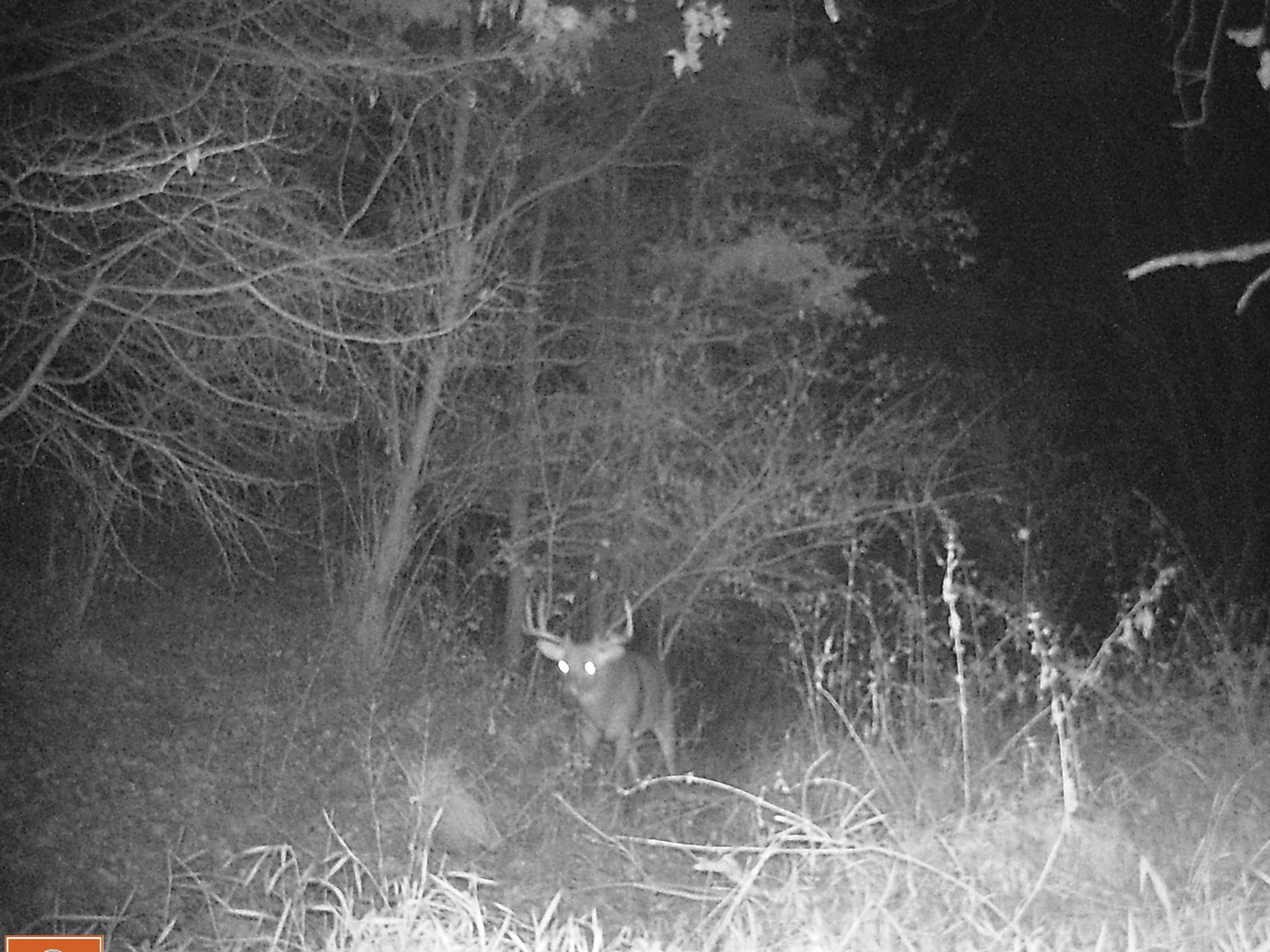 5670 Town Line Road Leaf River, IL 61047 - Photo 14 of 24 a close up of a wall